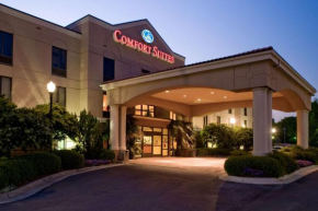 Гостиница Comfort Suites Starkville  Старквилл